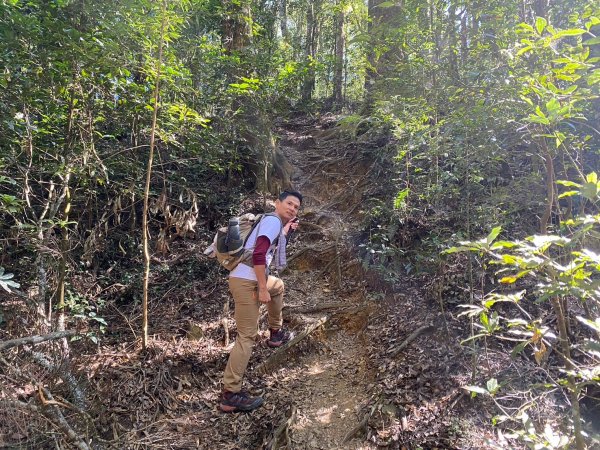 長壽山-醜崠山-鳶嘴山【既優雅又狂野的另類選擇】2673979