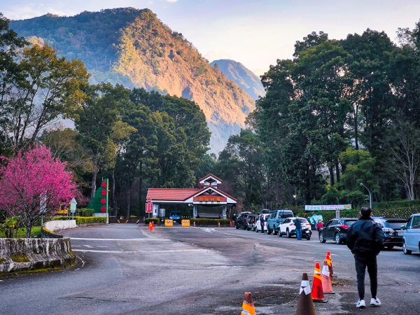 2025-02-07 北港溪峽谷步道2708334