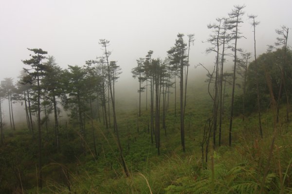 羅(葉尾山)馬(武佐野郡山)縱走816276