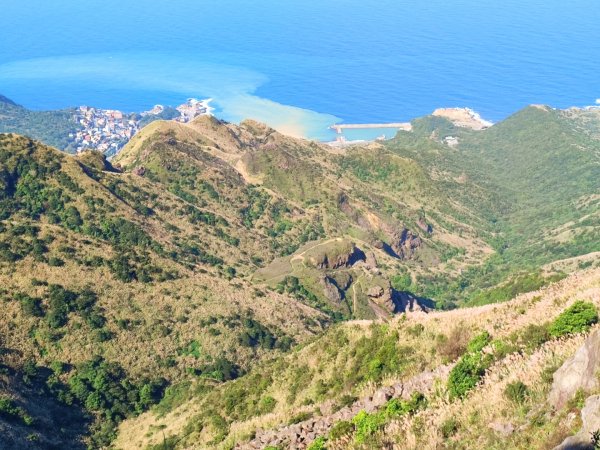 半屏山/燦光寮山賞芒花2412008