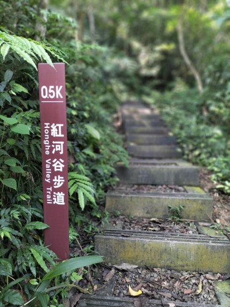 烏來紅河谷越嶺古道…污水處理廠至工寮段2134836