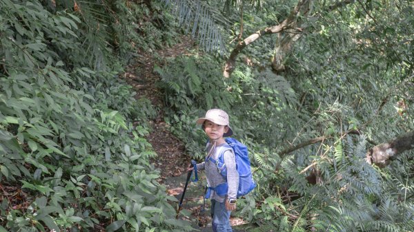 闊瀨古道-沿北勢溪谷而行的夏末之旅（淡蘭古道）2287639