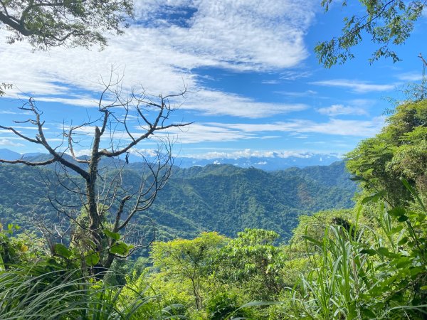 暗影山2604915