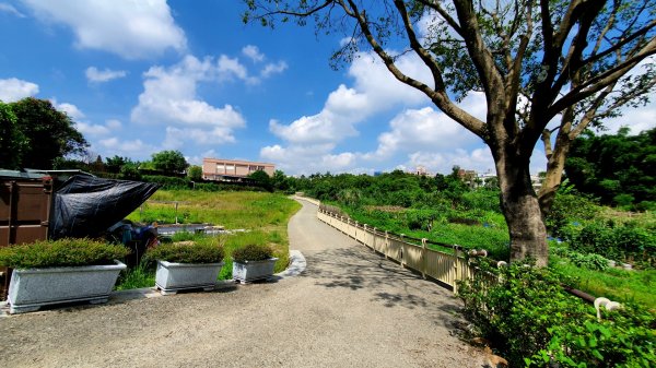 東眼山，親子峰，尾寮崎古道，小角仔古道，街口溪步道，阿屘尖，神木尖，牛角尖，牛角坑山1757460