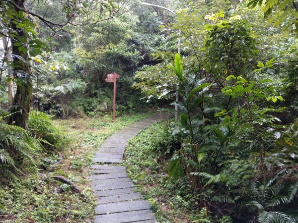 土城五秀縱走(火焰山+土城四秀)830585