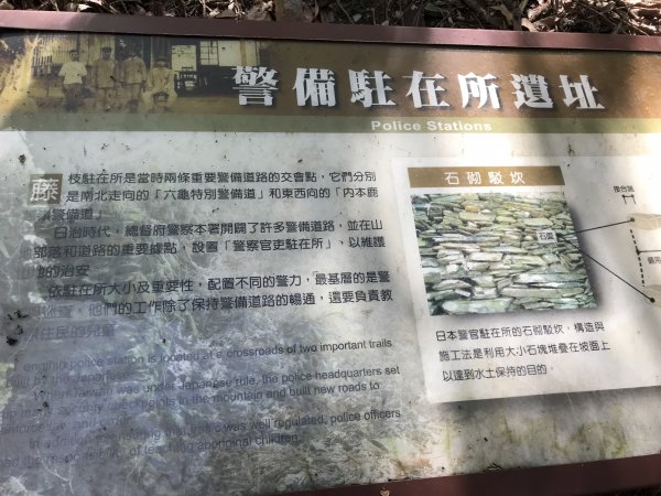 110年5月16日高雄   藤枝國家森林遊樂區1456923
