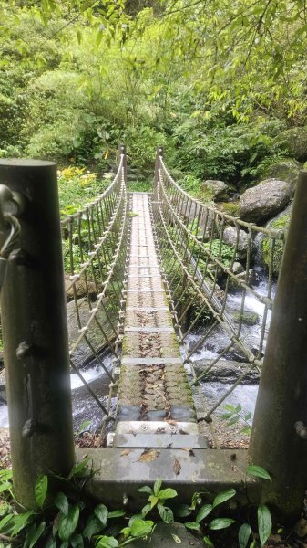 20250730烏來三山下紅河谷2848729