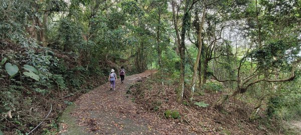 馬那邦山(上湖登山口)-2026/04/183040576