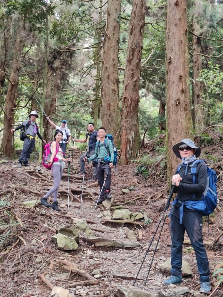 馬崙山(蜜蜂入侵三角點)拍照快閃2550659