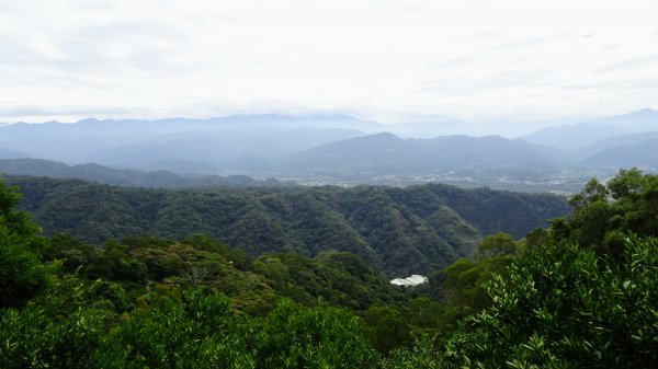 今天，我想來點飛鳳山，叮咚。1142043