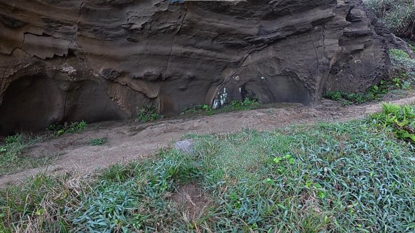 2026097_鼻頭角步道3135718