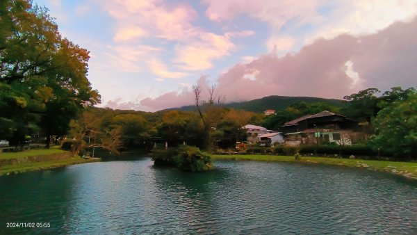 雲山水花鳥蝶-天龍國阿伯的日常 #翠鳥2641665