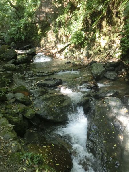 林美石磐步道．淡江蘭陽校區269009