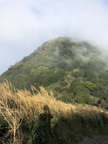 向天山面天山796734