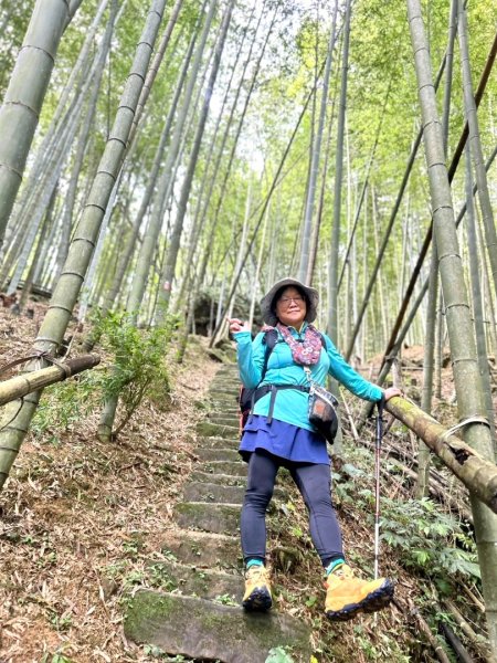 挑竹古道6號走小半天6連峰出孟宗竹林古戰場3108789