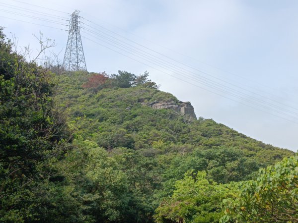 北投區大砲岩-石壇山-大師岩-湯守山-熱海岩場-八頭山-烏尖連山-軍艦岩3027335