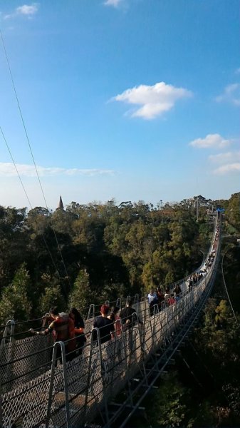 台中八仙山森林遊樂區，天籟步道，白鹿吊橋，南觀音山，溪頭森林遊樂區，妖怪村，猴探井天空之橋1858717