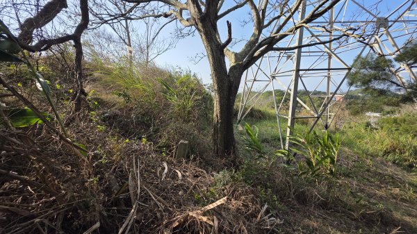 四角坪道、羊寮坑道3002334