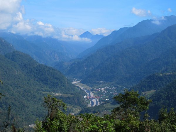 四壯士神木步道x阿冷山(北北峰)787467