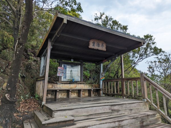 2024-03-31 金面山親山步道、剪刀石、象山親山步道2793315