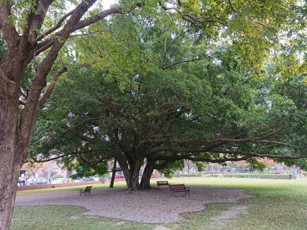 半平厝公園(崇倫公園)950504