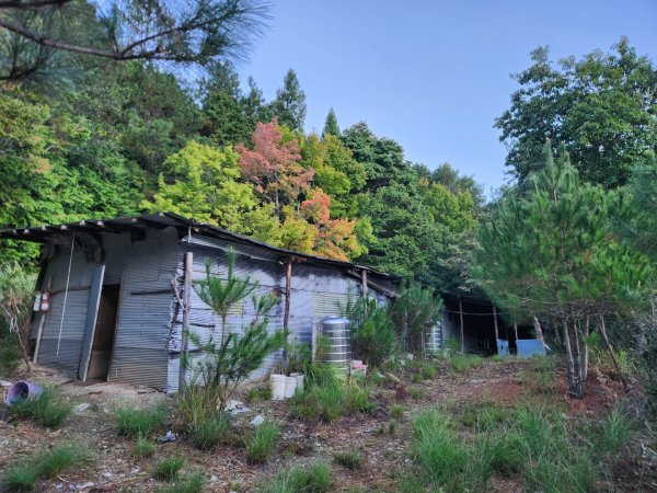 【中級山】馬武霸山，實至名歸的百岳觀景台2937706