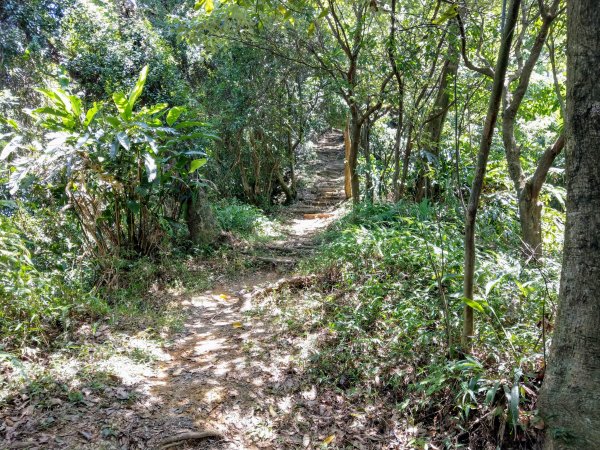 大湖公園。內湖郊山悠遊走1014176