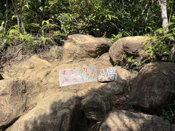 [微笑山線_第九段] 2025_0914 二格山系_天王峰2889569