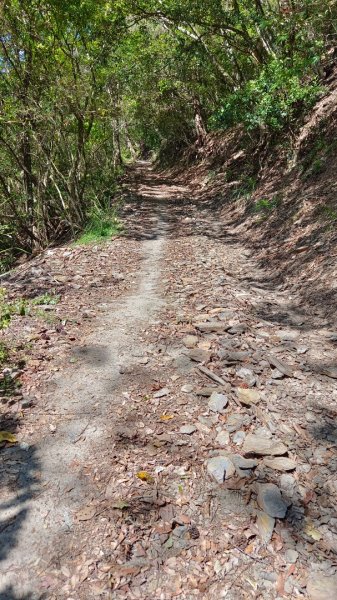 守城大山/守關山/守關山南峰1624728