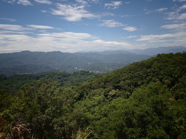 [淡蘭古道] 2026_0523 南路第一段_拇指山3069576