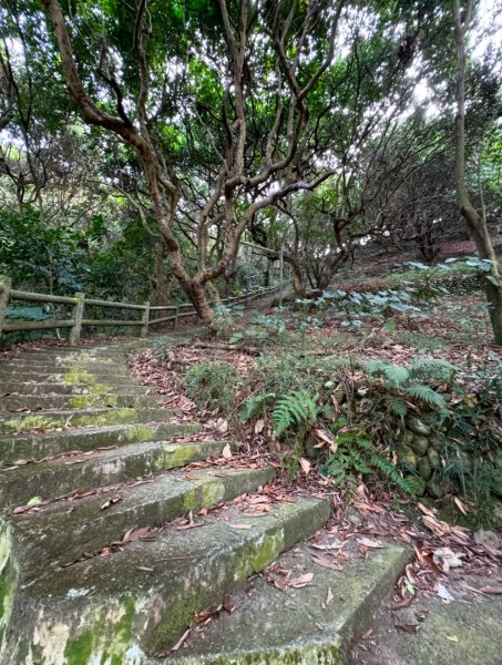 隴頂古道走萬里長城四百坎2672861