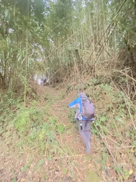 三義銅鑼基石巡禮--伯公龍.大坪凸.模麟坑山.鯉魚石下山.茄苳坑山.老雞隆山.社寮坪山2410059