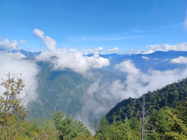 【台中和平】大雪山啞口觀景台步道2933085