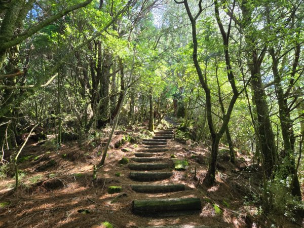 東埔山2816741