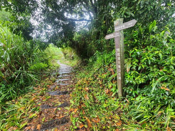 20250719頂湖上大凍山2907142