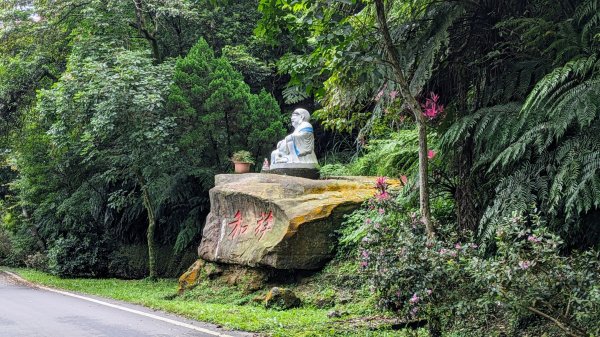 四分尾山,勤進路2515136