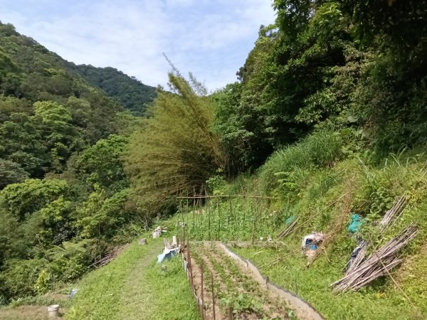 平溪區番子坑古步道O型3042607