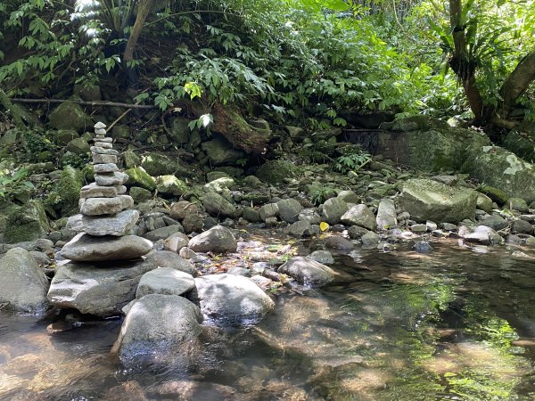 內雙溪的消暑密碼｜走一趟坪頂古圳就懂