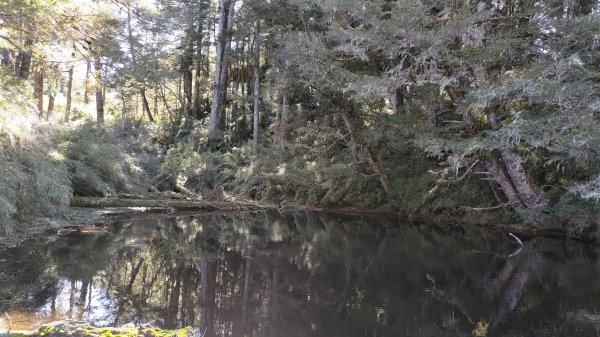 武法奈尾山1946737