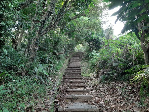 小百岳寶石〡No.14 土庫岳995853