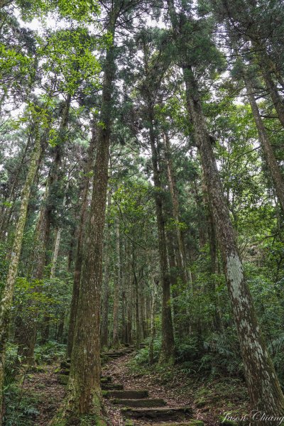 [桃園]東眼山2143430