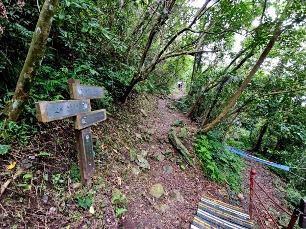 得卡倫步道2833841