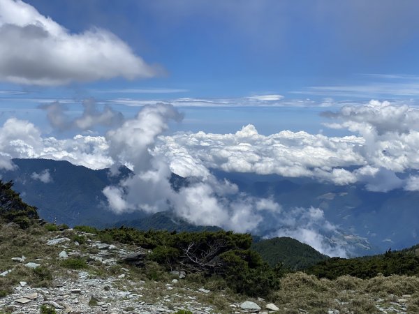 2022/06/02-2022/06/03(兩天一夜-嘉明湖/向陽山/三叉山)1728666