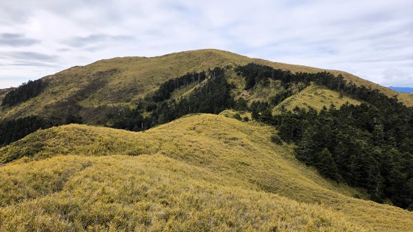 貼近山林來走個稍微不一樣風景的合歡山2989408