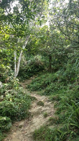 2020 7/11 石門山1029643