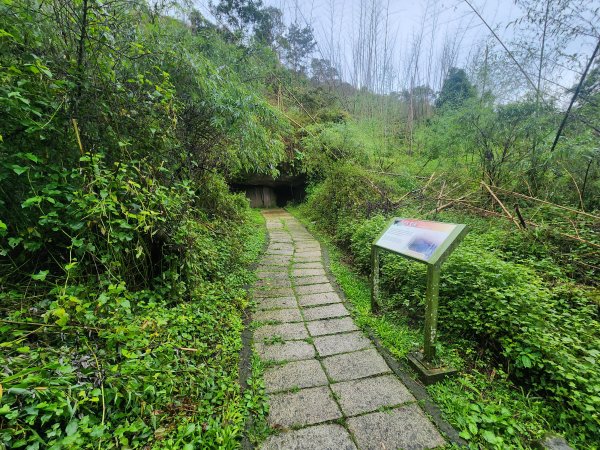 20250719頂湖上大凍山2907152