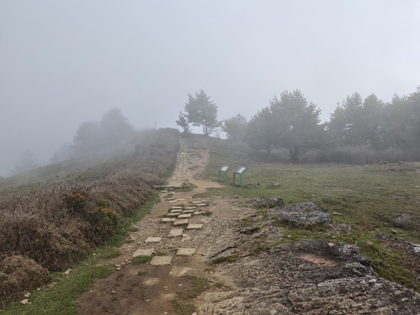 [山海圳_聖山之路_第二段3/4] 2026_0802 麟趾山3109249