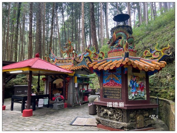 阿里山神木群棧道2771629