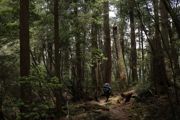 大霸尖山：要是沒背相機出來