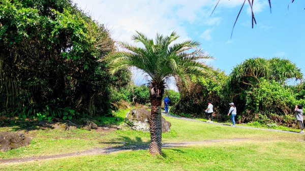 洄瀾東海岸3006665